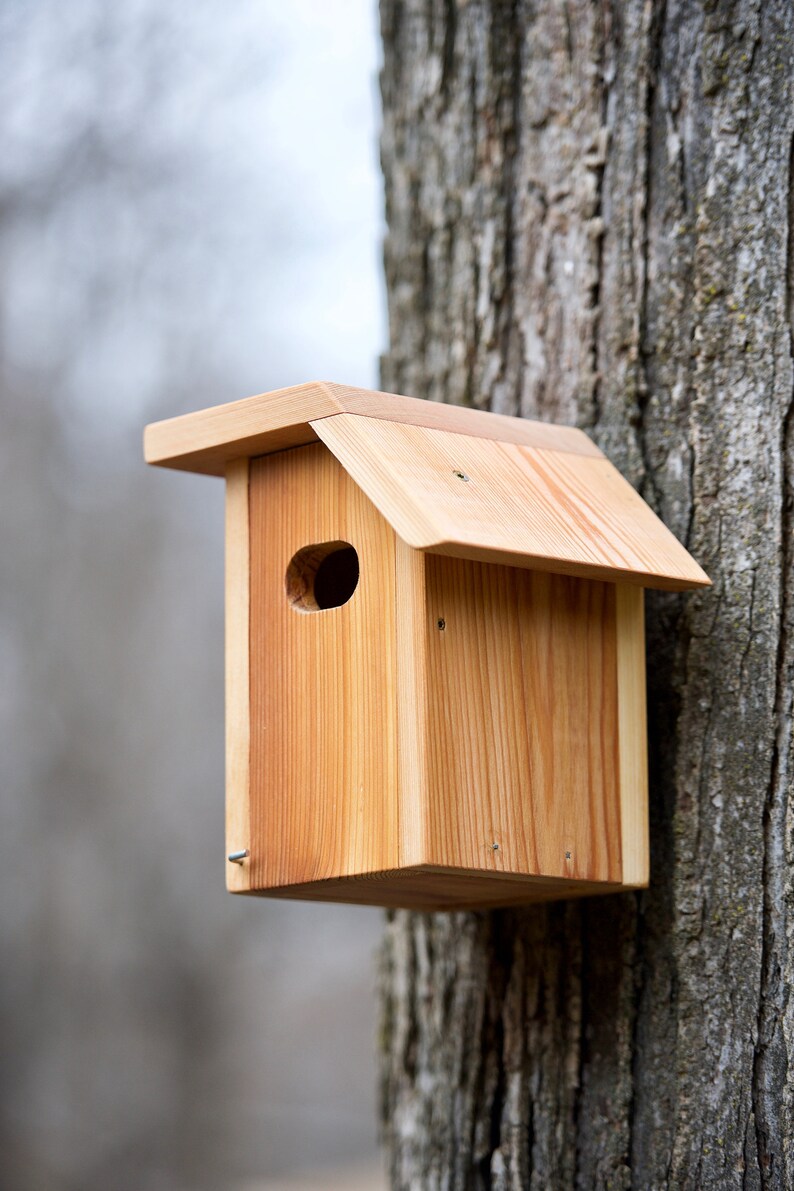 Tree Swallow Cedar bird house Etsy