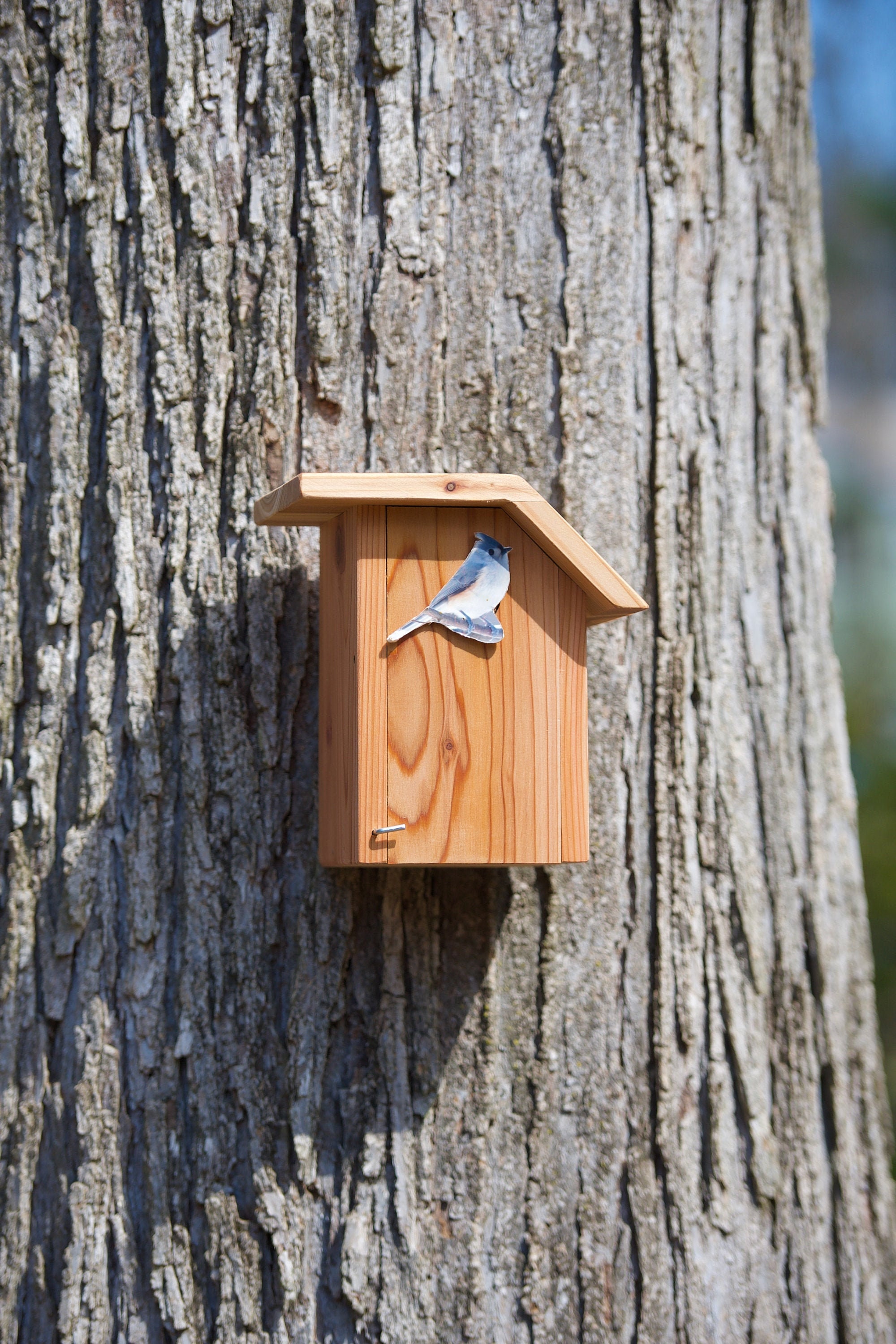 Tufted Titmouse Cedar Bird House - Etsy