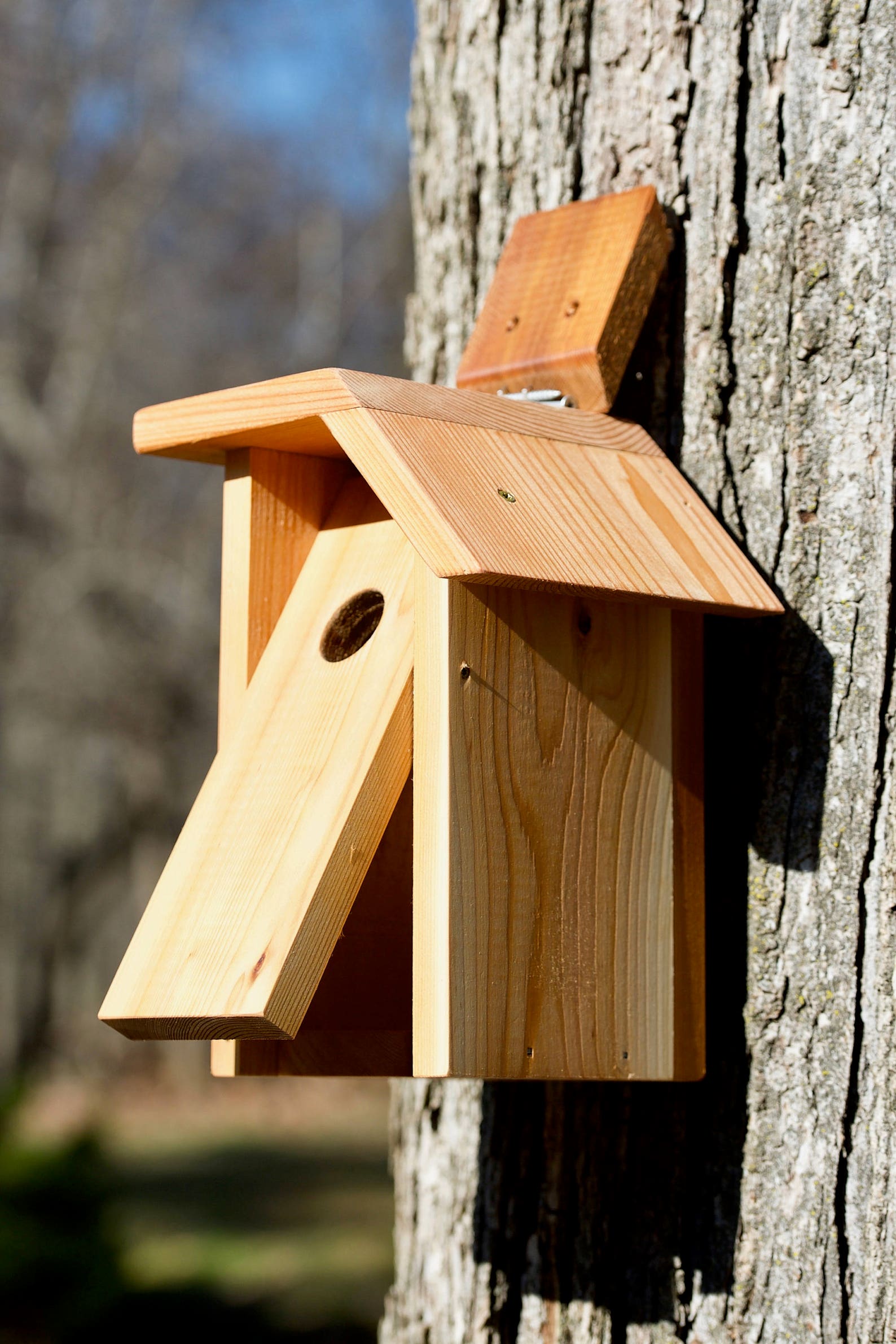 Whitebreasted Nuthatch Cedar Bird House Etsy