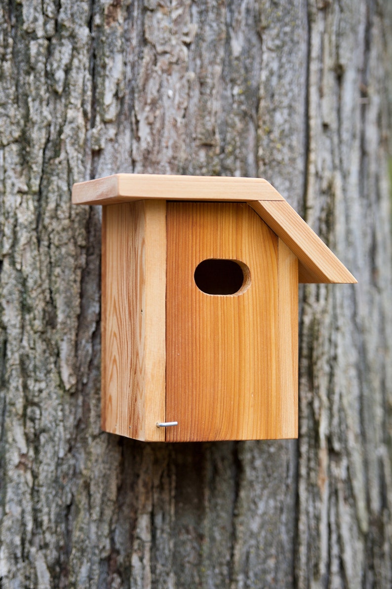 Tree Swallow Cedar bird house Etsy