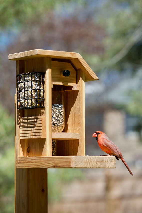 Wine Bottle Bird Feeder M Etsy