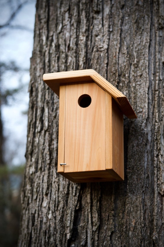 Tree Swallow Cedar Bird House Etsy