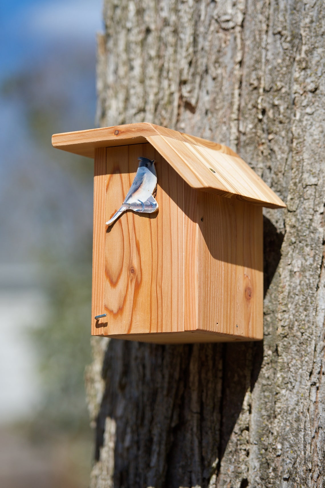 Tufted Titmouse Cedar Bird House Etsy Tufted Titmouse Cedar Bird House Etsy