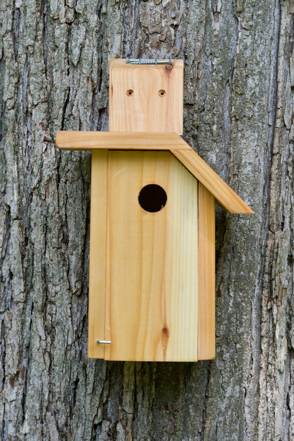 Downy Woodpecker Cedar bird house Etsy