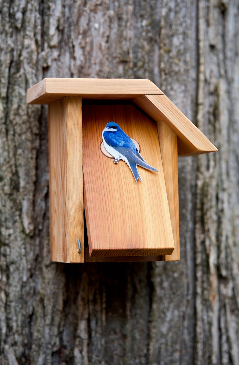 Tree Swallow Cedar Bird House Etsy swallow-bird-house-the-best-type-how-to-build-one