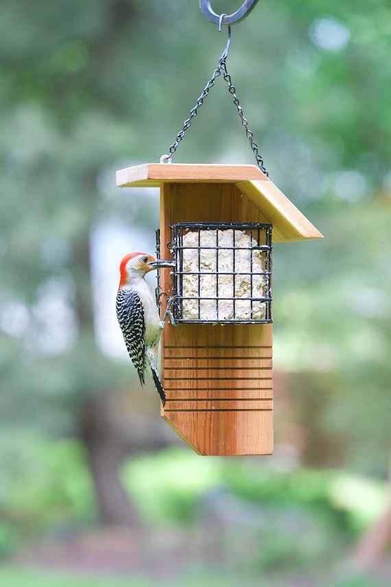 Suet Food Feeder 2 Cages Tail Prop Etsy