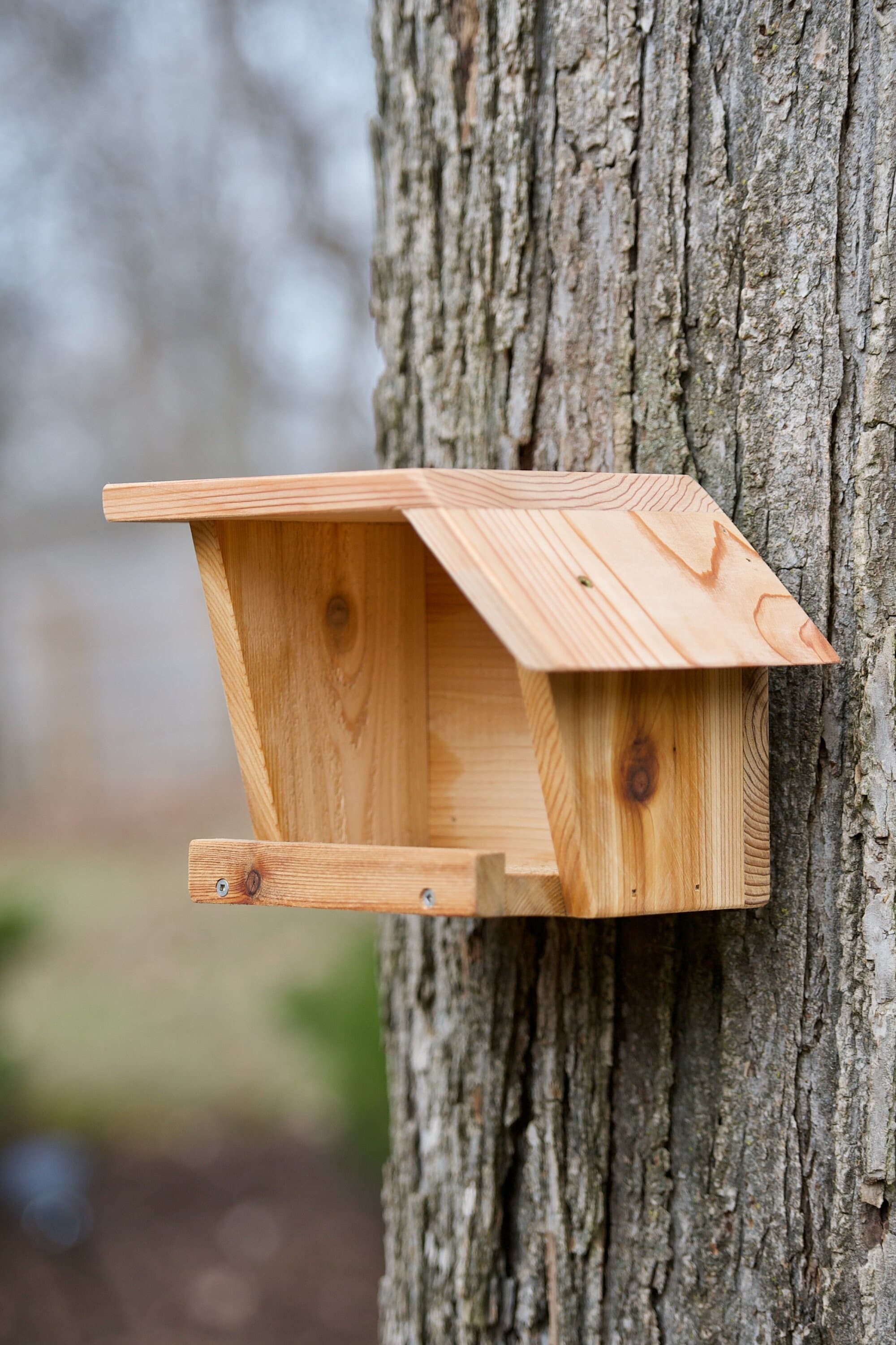 American Robin Cedar Nest Box Etsy
