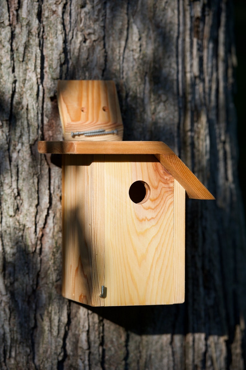 prothonotary-warbler-cedar-bird-house-etsy