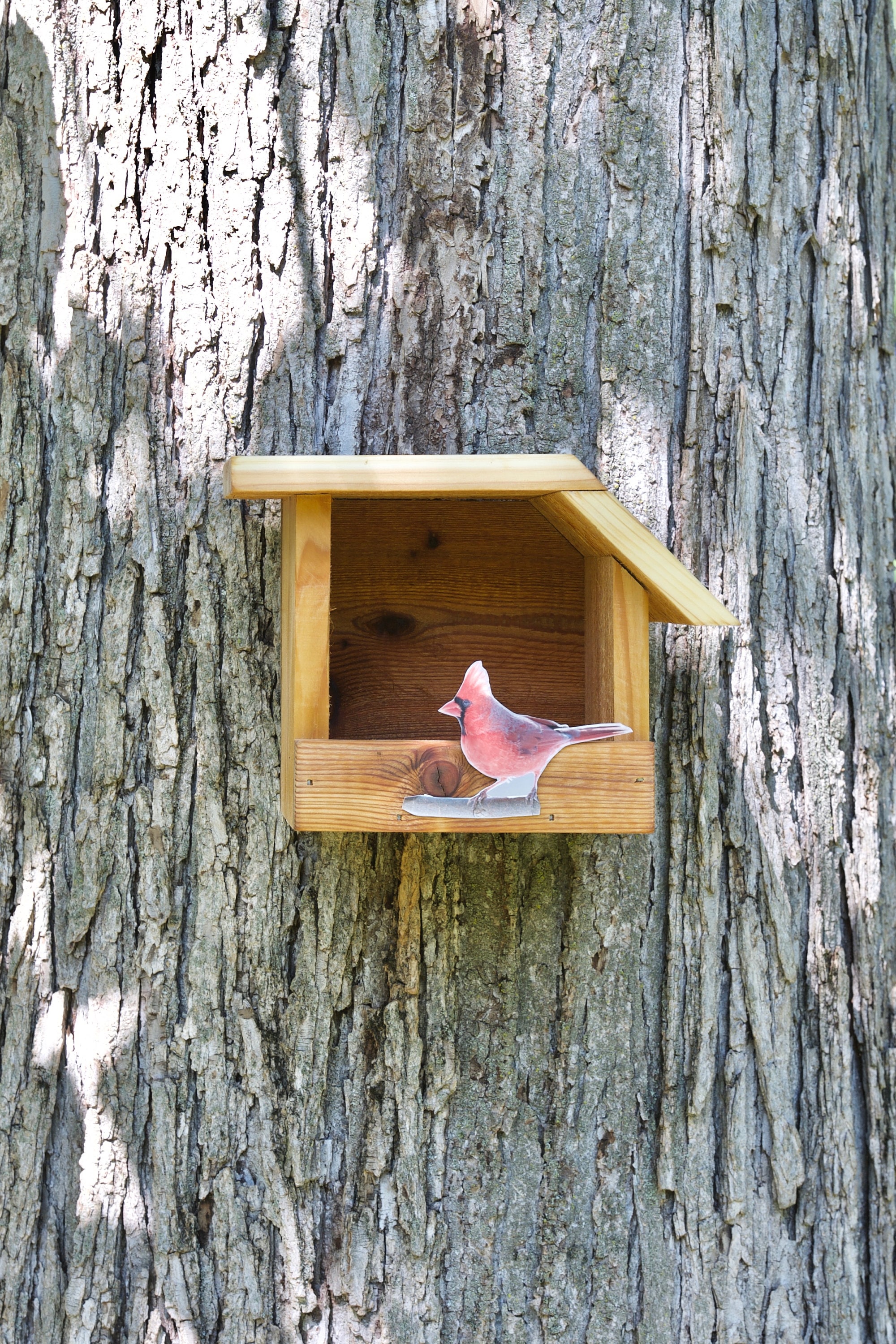 Northern Cardinal Cedar bird house Etsy