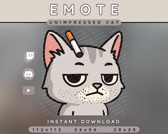 Unimpressed Cat Emote Pack | Twitch Discord YouTube | PNG Instant Download