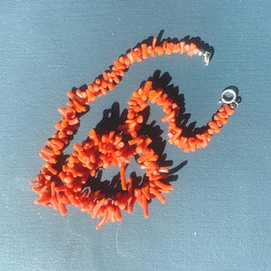 Puede incluir: Un collar hecho de pequeños trozos de coral naranja vibrante. El coral está ensartado, formando un collar con un cierre plateado. El collar se muestra sobre una superficie azul, con sombras que añaden profundidad.