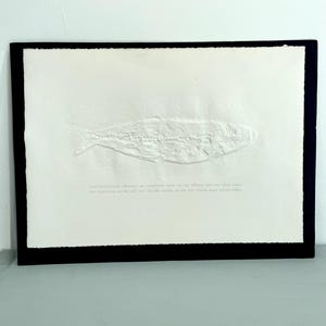 Stampa fossile d'epoca – pesce osseo (genere Thrissops) fossilizzato su carta (cartone) – Museum Bergér Eichstätt, 1970