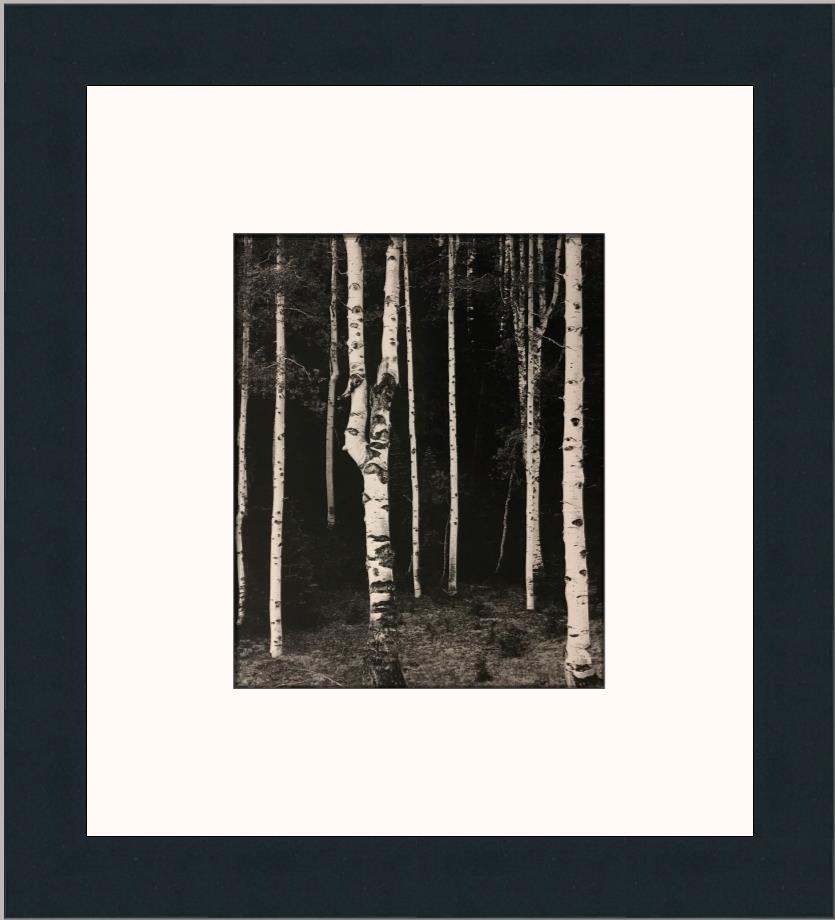 Ansel adams aspen - Etsy 日本