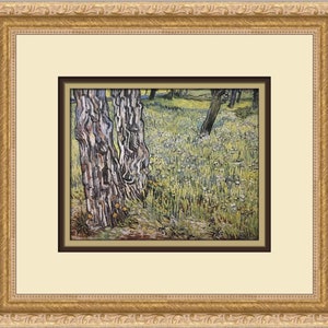 Vincent Van Gogh Pine Trees and Dandelions in the Asylum Garden Custom Framed Print