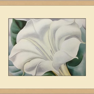 Georgia O&#39;Keeffe The White Trumpet Flower Custom Framed Print