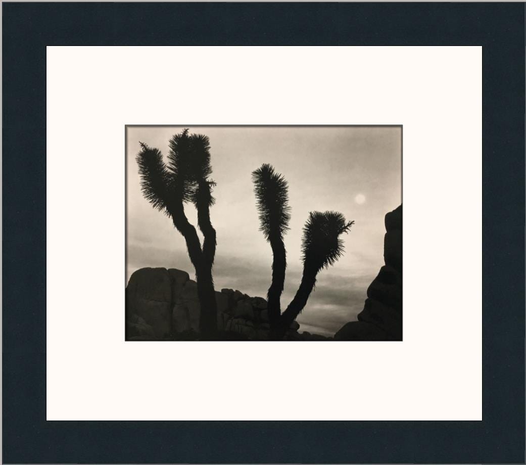 Ansel adams tree print - Etsy 日本