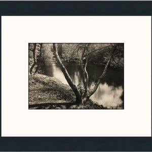 Op de afbeelding: Een zwart-witfoto van een boom met takken die over een rivier reiken. De boom bevindt zich op de voorgrond en de rivier op de achtergrond. De foto is genomen vanuit een lage hoek, kijkend naar de boom.