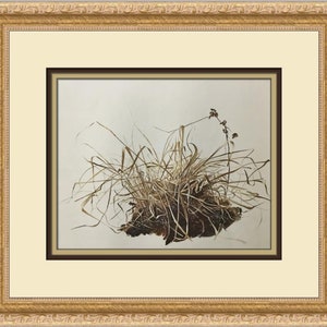 Andrew Wyeth Grasses Custom Framed Print