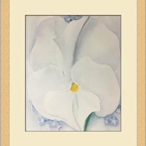 Georgia O&#39;Keeffe White Pansy Custom Framed Print
