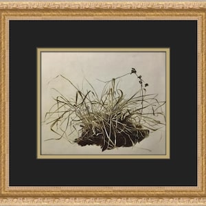 Andrew Wyeth Grasses Custom Framed Print