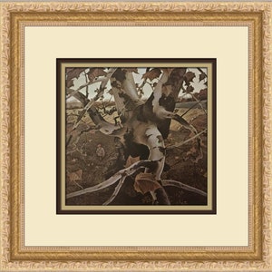 Andrew Wyeth The Hunter Custom Framed Print