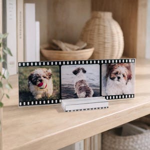 Retro Film Pet Photo Acrylic Plaque & Custom Camera Roll Sign | Vintage Photobooth Film Strip Gift, Dog or Cat Memorial Photo Sign