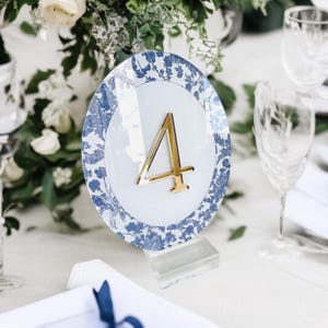 OVAL 3D French Toile Chinoiserie Acrylic Table Number | Dusty Blue, Blush, Sage | Elegant Reception Decor | Vintage-Inspired Event Display