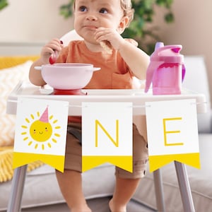 High Chair Banner, Pink, First Trip Around the Sun, 1st Birthday Party, EDITABLE PARTY PRINTABLE