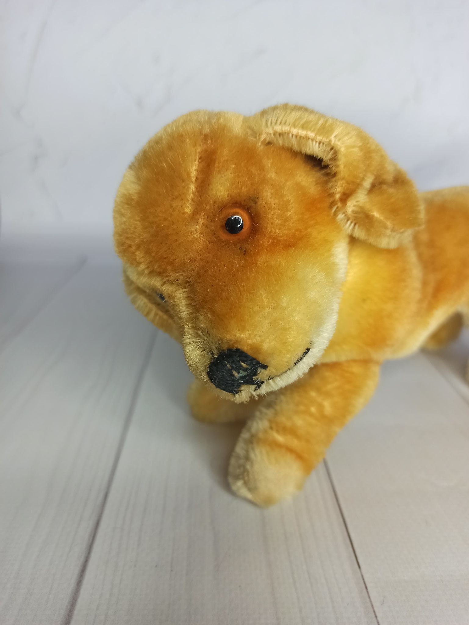 アンティーク シュタイフ 1950 バジ ユング ダッケル ダックスフント