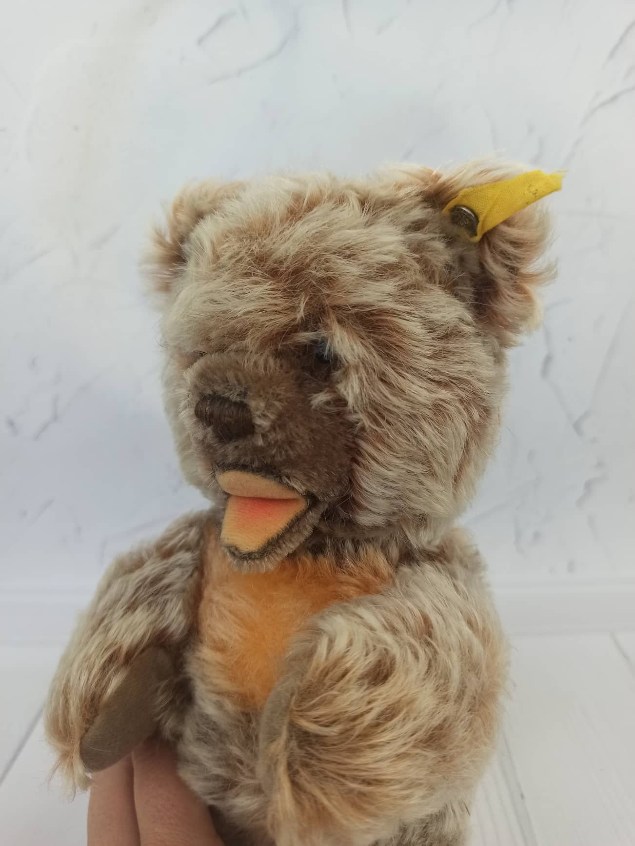 Vintage STEIFF Zotty Curly Bear 0305/32 Antique Steiff 1970 Steiff