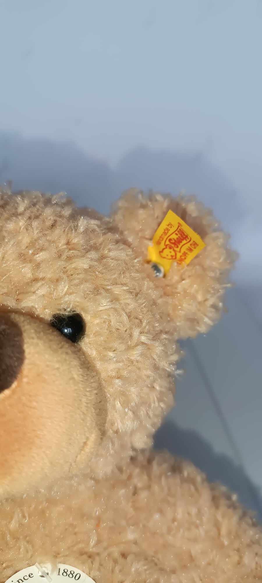 シュタイフ 990076 Teddy Herr Miele 限定版 テディベア ぬいぐるみ 28