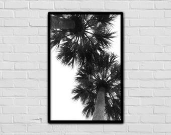 Double Palms - Palm Trees - Black And White - Contemporary Modern Art - Digital Print - Good Vibes - Natural Decor - Nature Photography