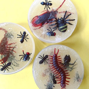 Creepy Crawly Jelly Soap - Soap Jelly - Jelly Soaps - Soap Jellies - Halloween Soap - Kids Soap - Body Wash - Shower Jelly