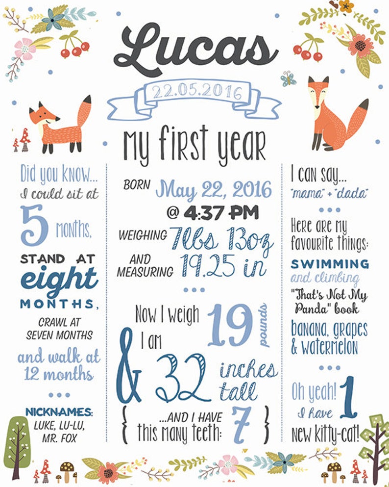 Digital File Milestone Poster First Year Infographic Etsy Canada