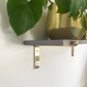 Puede incluir: Una estantería gris oscura con soportes de metal dorado. Una planta en maceta con grandes hojas verdes se encuentra sobre la estantería.