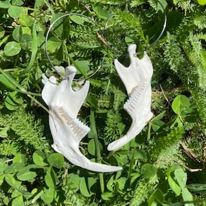 Muskrat Jawbone Earrings