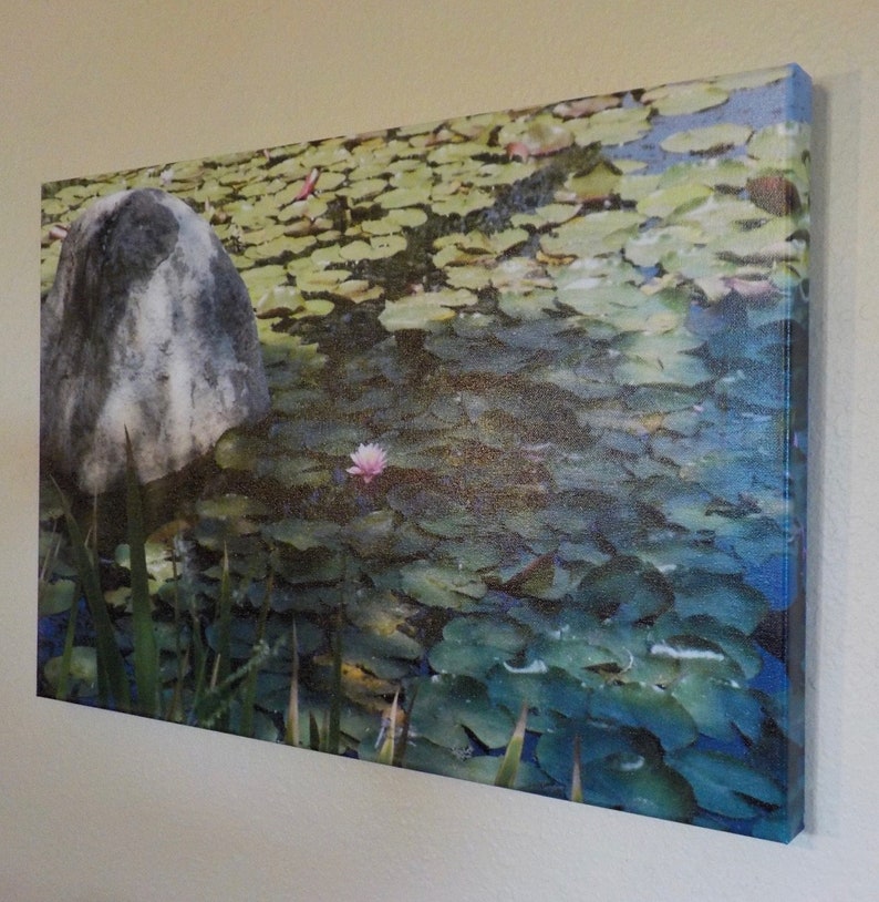 Water Lilies Photograph 16 x 24 image 2