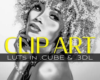 3d LUTs - Special Effects, Clip Art LUTs, kunstvolle LUTs, Style LUTs, Look up Table, LUT download