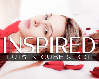 3d LUTs - Inspirierte Kollektion, Videofarbe, Farbnote, Look up Table, Download