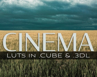 3d LUTs - Kino, moody LUTs, Videofarbe, Farbqualität, Glamour LUTs, Dystopie, Look up Table, Download