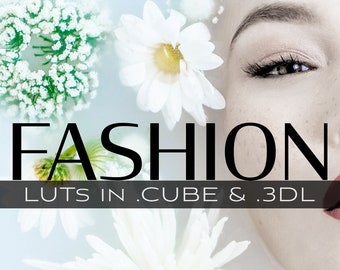 3d LUTs - Fashion Pack, Glamour-LUTs, Hollywood-LUTs, stimmungsvolle Farbqualität, Videofarbe, Look Up-Tables, Download