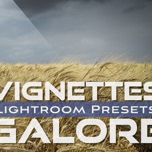 Puede incluir: Un campo de trigo dorado con una pancarta azul que dice "VIGNETTES LIGHTROOM PRESETS GALORE".