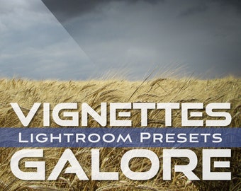 Vignetten Galore Voreinstellungen, stimmungsvolle Voreinstellungen, Lightroom-Voreinstellung, dramatische Voreinstellung, Vignettenvoreinstellung, Instagram-Filter, Download