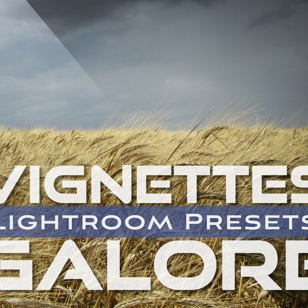 Vignettes Galore Presets, moody presets, lightroom preset, dramatic preset, vignette preset, Instagram Filters, download