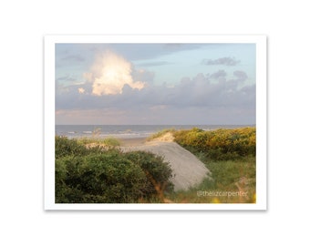 Charleston Print, Kiawah Island, South Carolina, Beach Photo, Palm Tree, Ocean Print, Digital Download, Beachy, Tropical Print, Seabrook