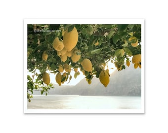 Lemon Print, Lemon Tree, Positano Print, Amalfi Coast Print, Lemon Art, Italy print, Positano art, Lemon Print, Italy Landscape, Travel