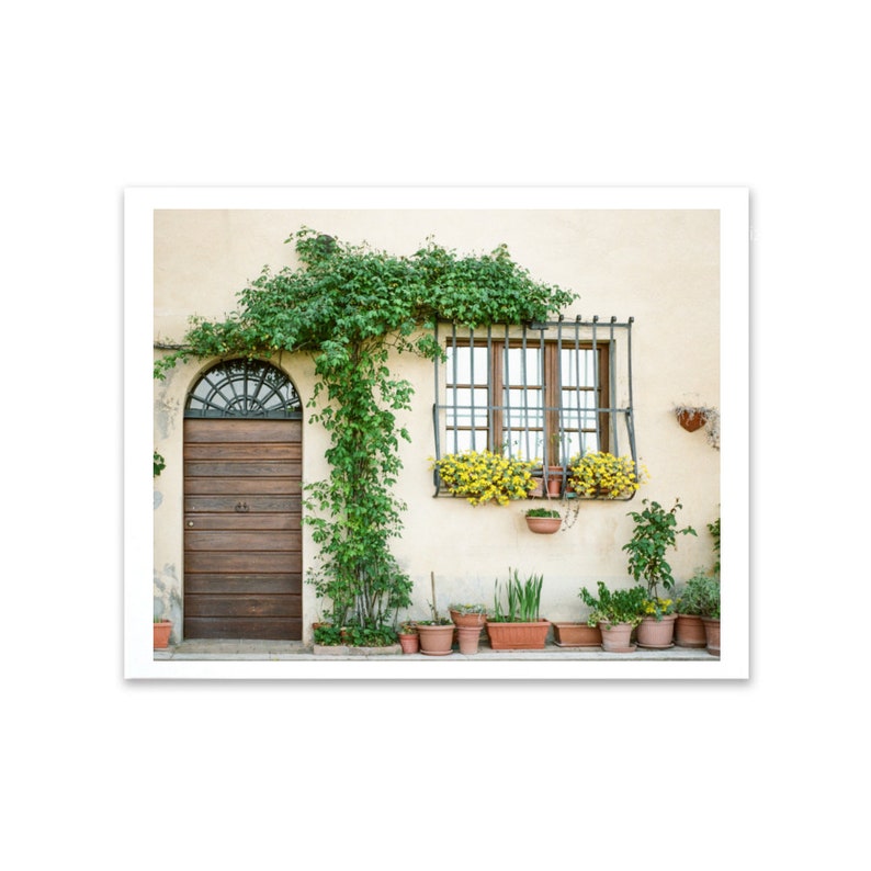 May include: A photograph of a building exterior featuring a wooden door with an arched top and a window with a metal grate. Green vines and yellow flowers add color to the scene. Several potted plants line the bottom.