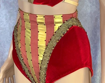 Pole Dance Costume/ Aerial Costume / Swimsuit/ Fire Costume/ Contortion Costume