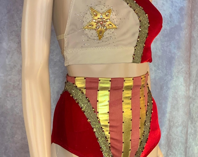 Pole Dance Costume/ Aerial Costume / Swimsuit/ Fire Costume/ Contortion Costume