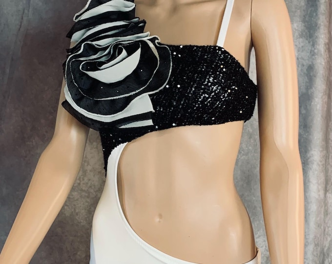 Pole Dance Costume/ Dance Costume/ Contortion Costume